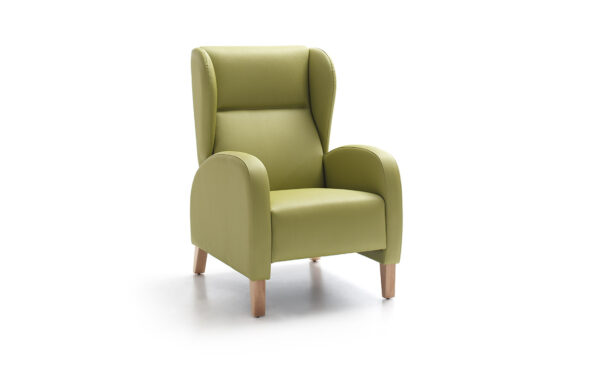 ARMCHAIR CORAL FIXED HEIGHT WITH WINGS - Image 2