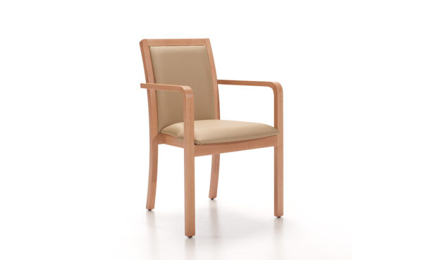 CHAIR HOLIDAY WITH ARMS - Image 2